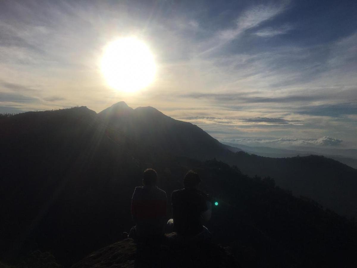 Greenpepperhomestay Munnar Anaviratty Екстериор снимка