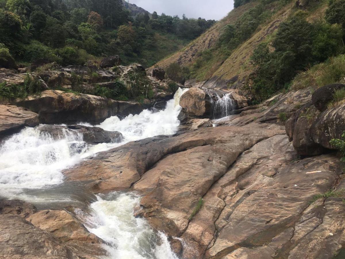 Greenpepperhomestay Munnar Anaviratty Екстериор снимка