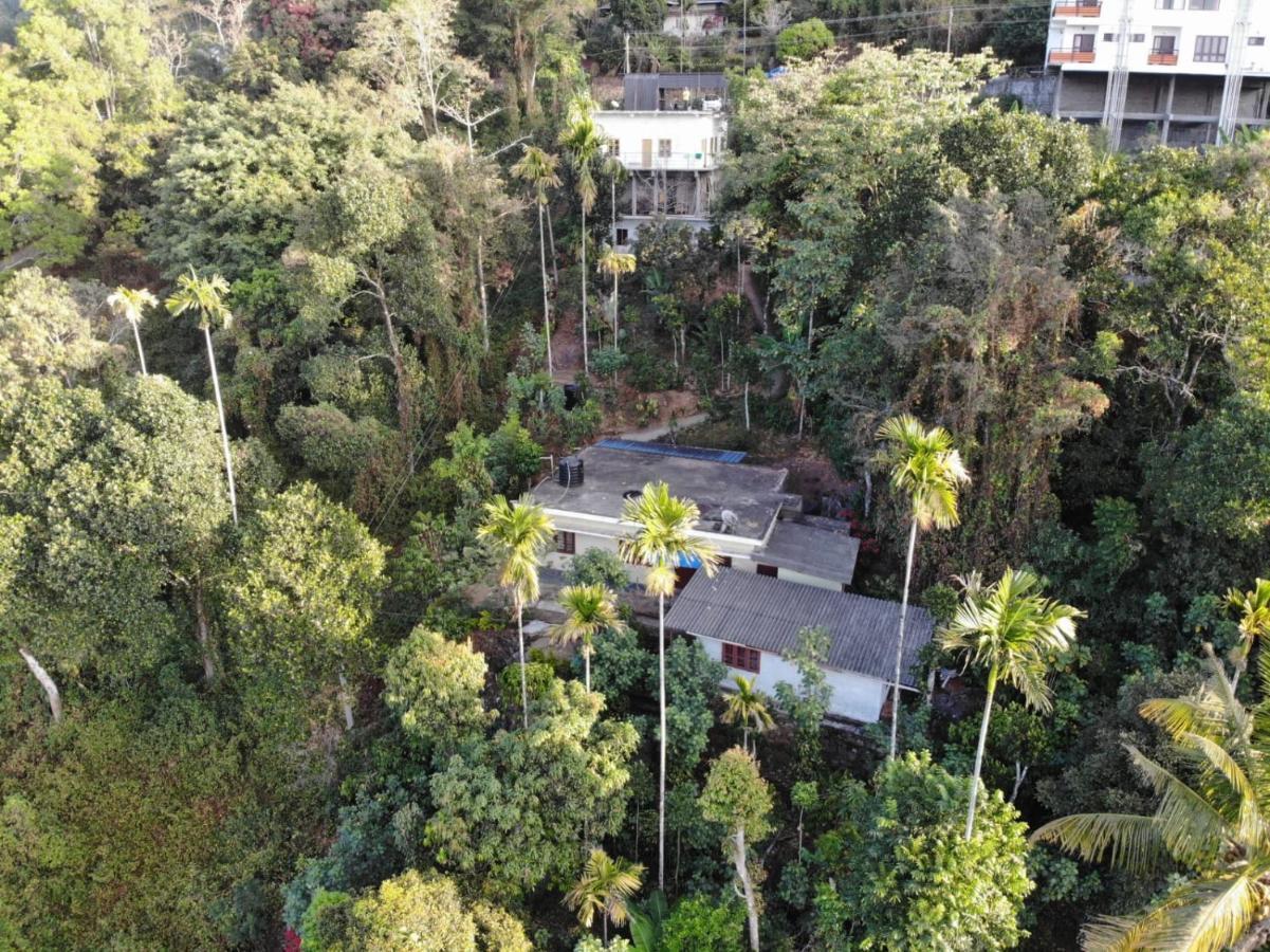 Greenpepperhomestay Munnar Anaviratty Екстериор снимка