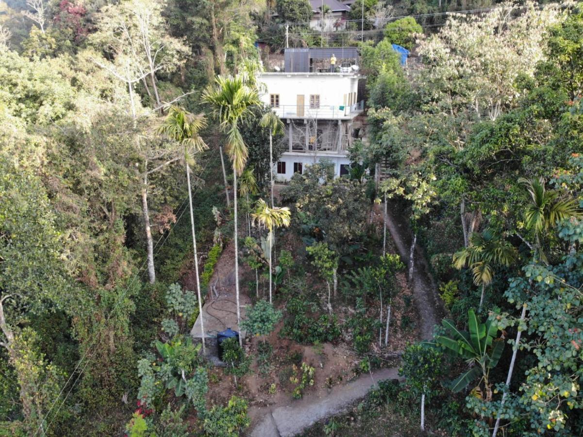 Greenpepperhomestay Munnar Anaviratty Екстериор снимка